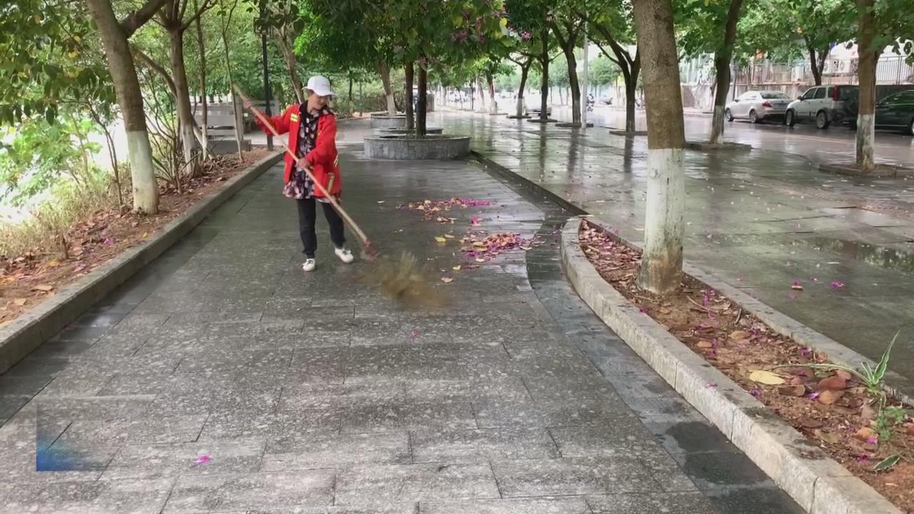 ����������벢�ٹ���������