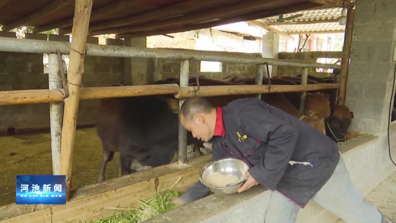 ��ǽ�����С���Ŵ�����������ҵ��ũ�����¸�