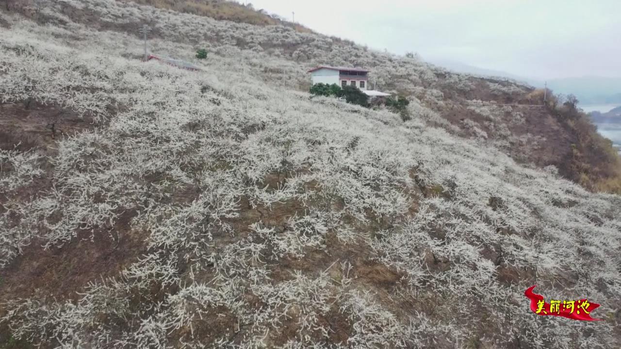 �������ӳء������Ķ���������