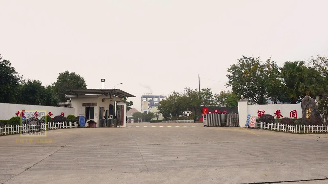 �������ڻ�����Ʒ���޹�˾������ɫ������������������ҵ��������չ