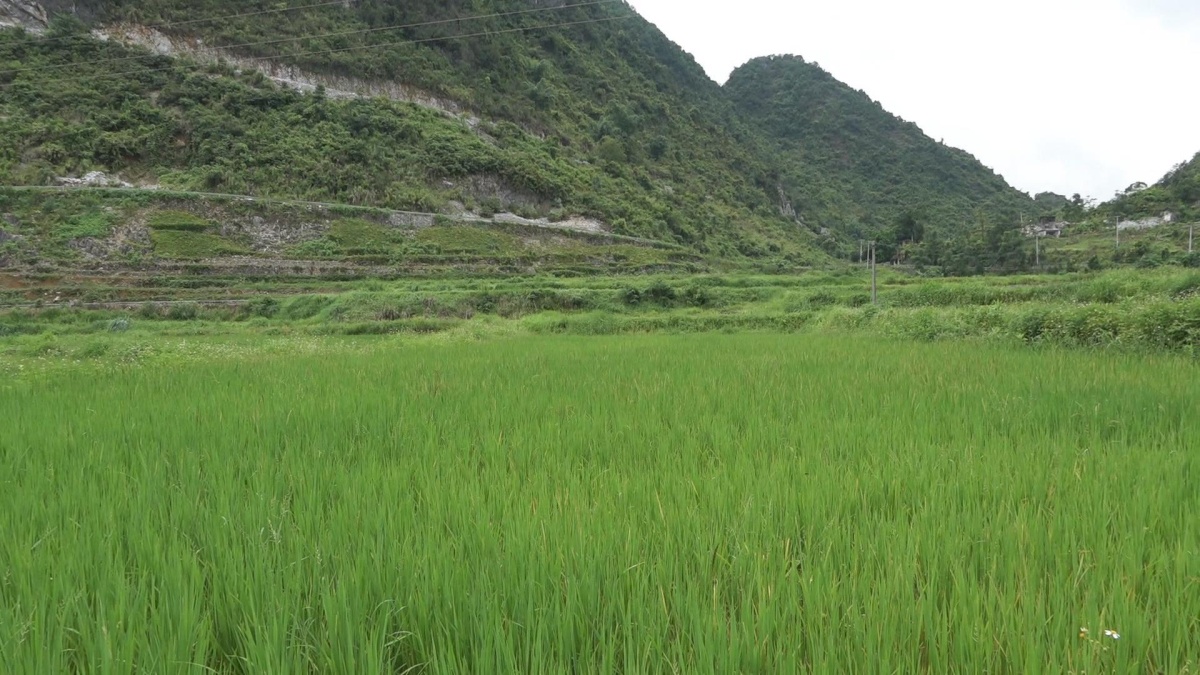 ������ǿ������������Ŀ��� ������ʳ������ȫ