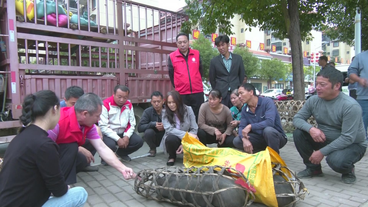 ��룺����������� ��չͥԺ��ֳ