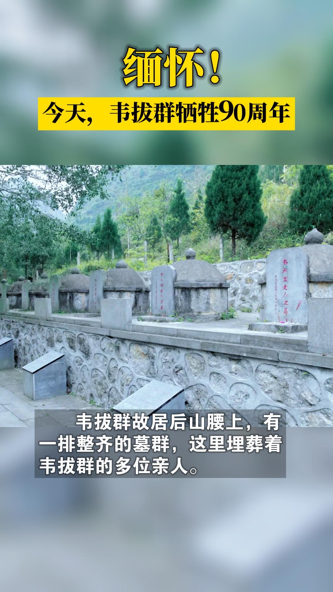 �廳�����죬Τ��Ⱥ����90����