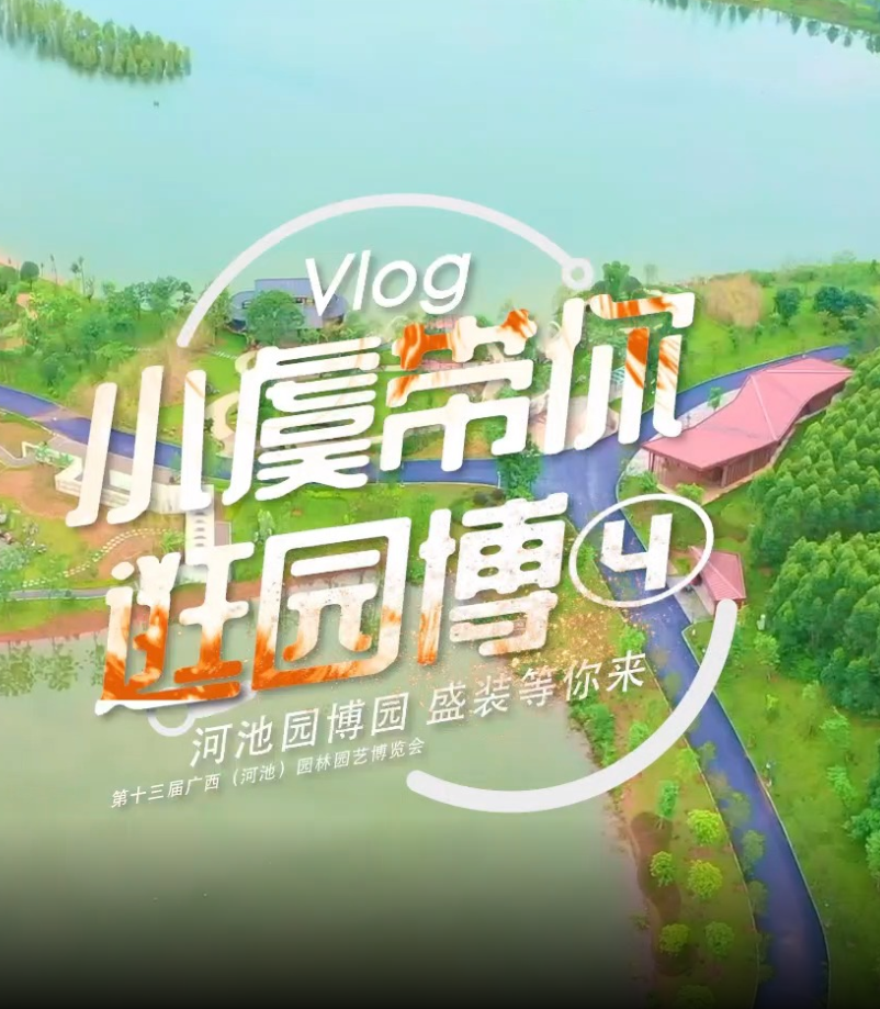 Vlog|С�ݴ����԰����