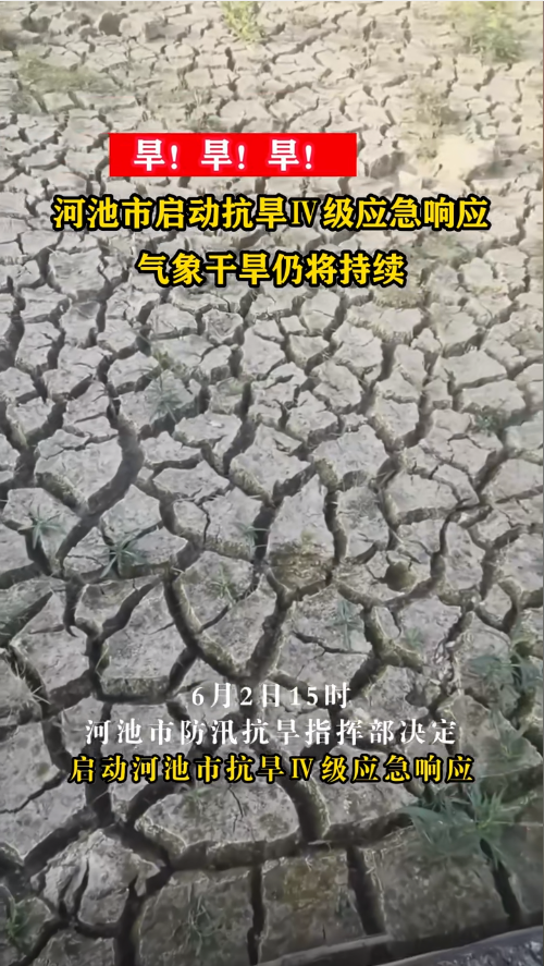 �������������ӳ���������������Ӧ����Ӧ