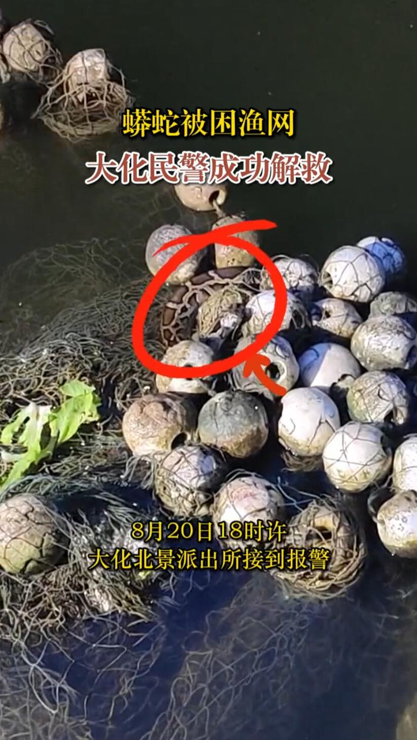 ���߱������������񾯳ɹ����