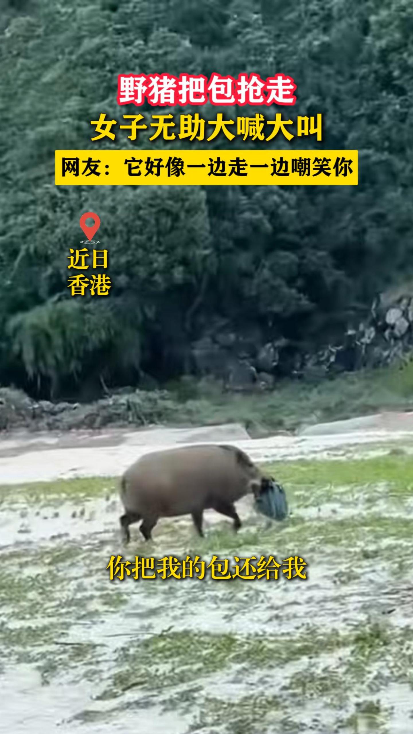 Ұ���Ѱ����ߣ�Ů�������󺰴�С����ѣ�������һ����һ�߳�Ц��