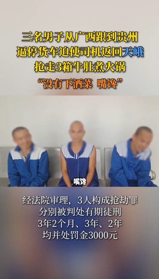 �������ӱ�ͣ��������3��ţ������