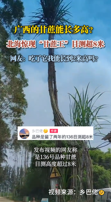 �����ĸ����ܳ���ߣ��������֡���������Ŀ�ⳬ8��