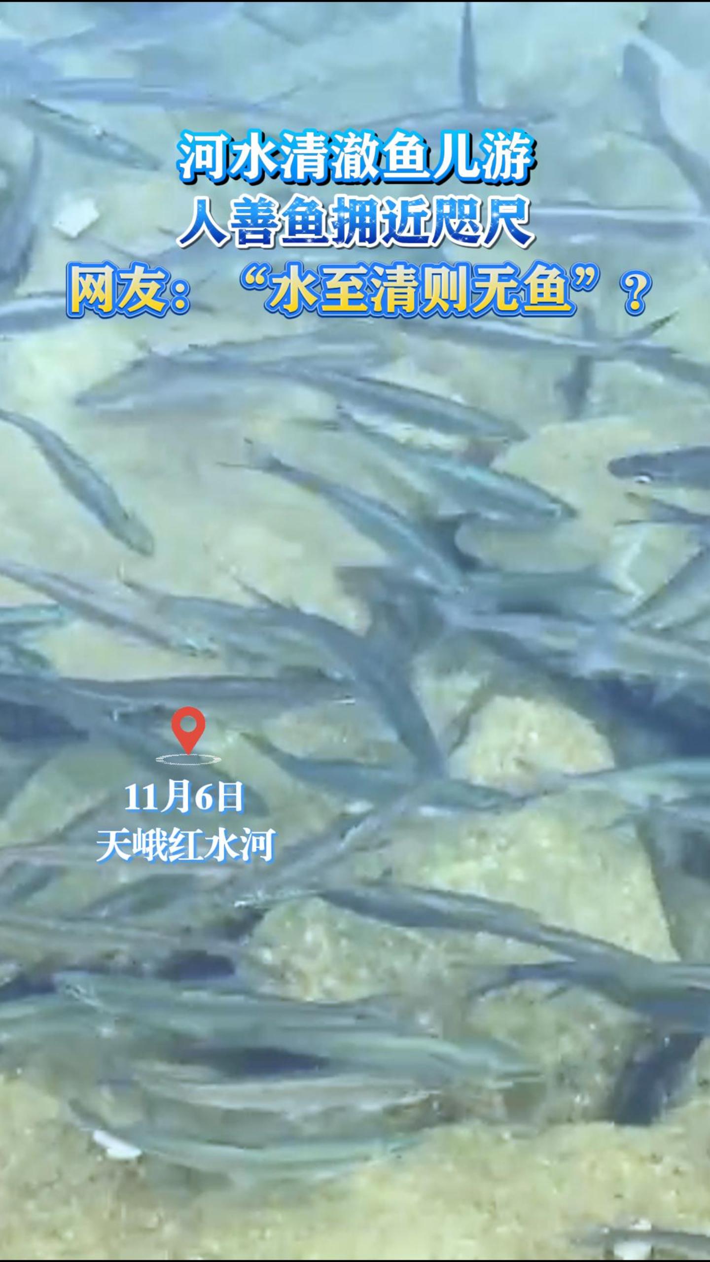 ��ˮ�峺����Σ�������ӵ����ߡ����ѣ���ˮ���������㡱��