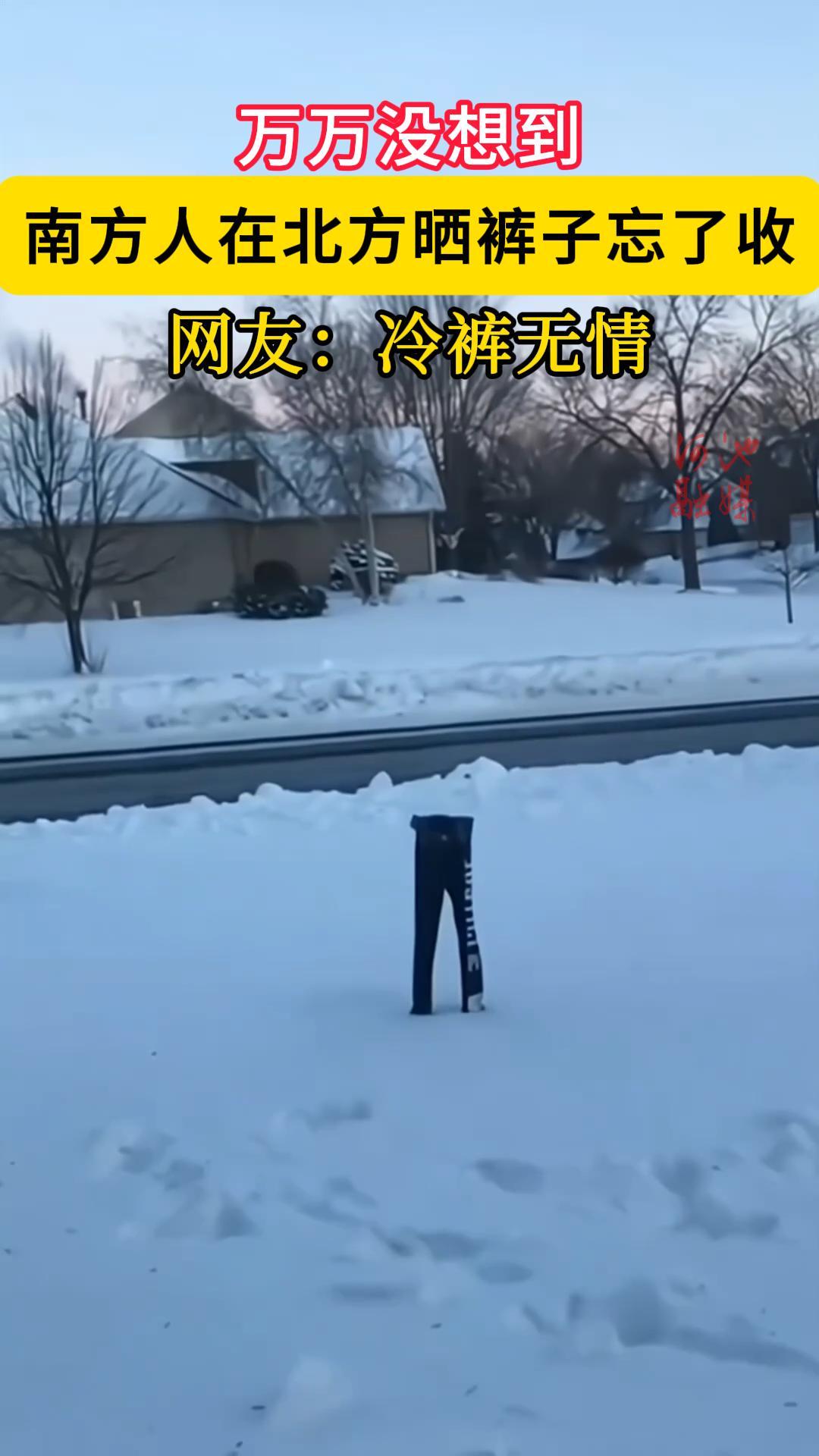 ����û�뵽���Ϸ����ڱ���ɹ���������գ����������