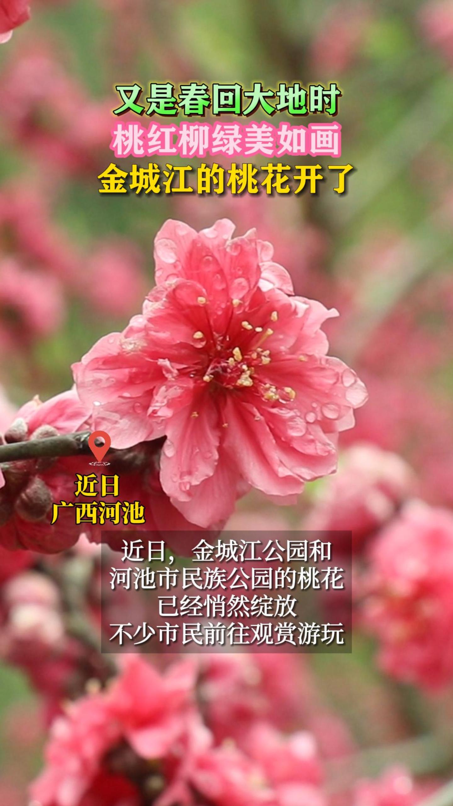 ���Ǵ��ش��ʱ���Һ��������续����ǽ����һ�����