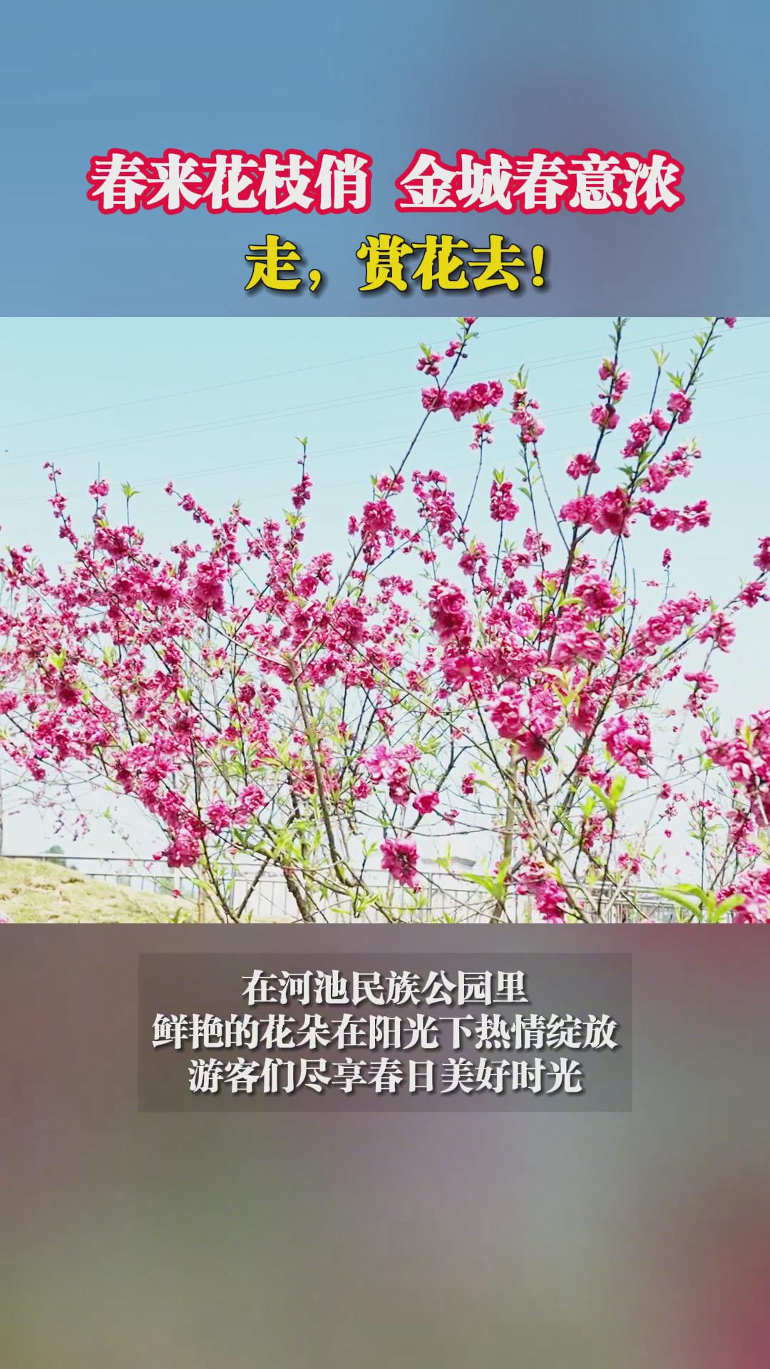 ������֦�Σ���Ǵ���Ũ���ߣ��ͻ�ȥ��