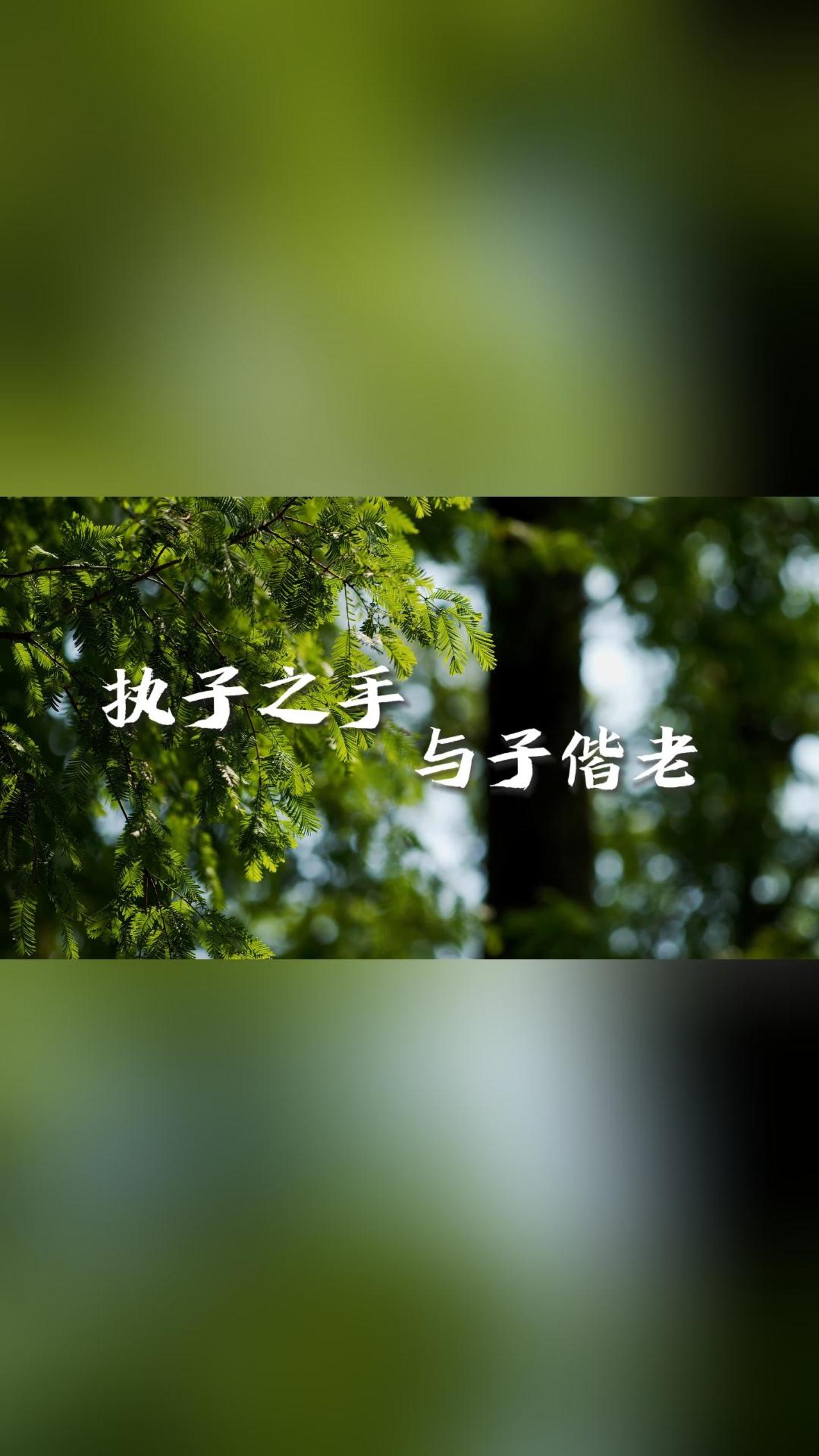 ʫ���У�ִ��֮�� ��������