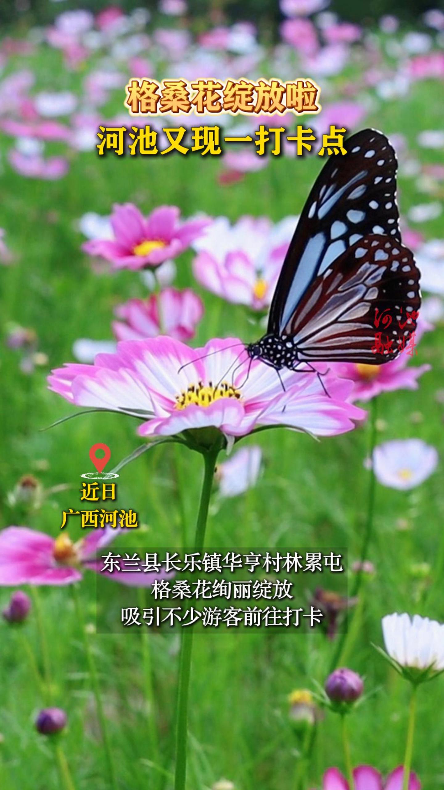 ��ɣ�����������ӳ�����һ�򿨵�