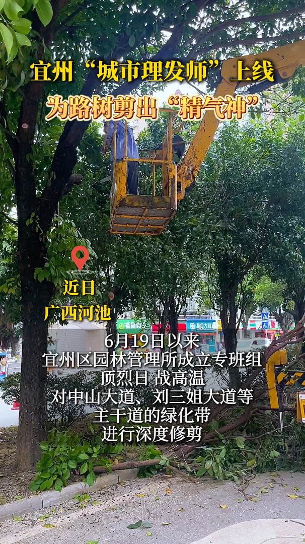 ���ݡ���������ʦ�����ߣ�Ϊ·��������������
