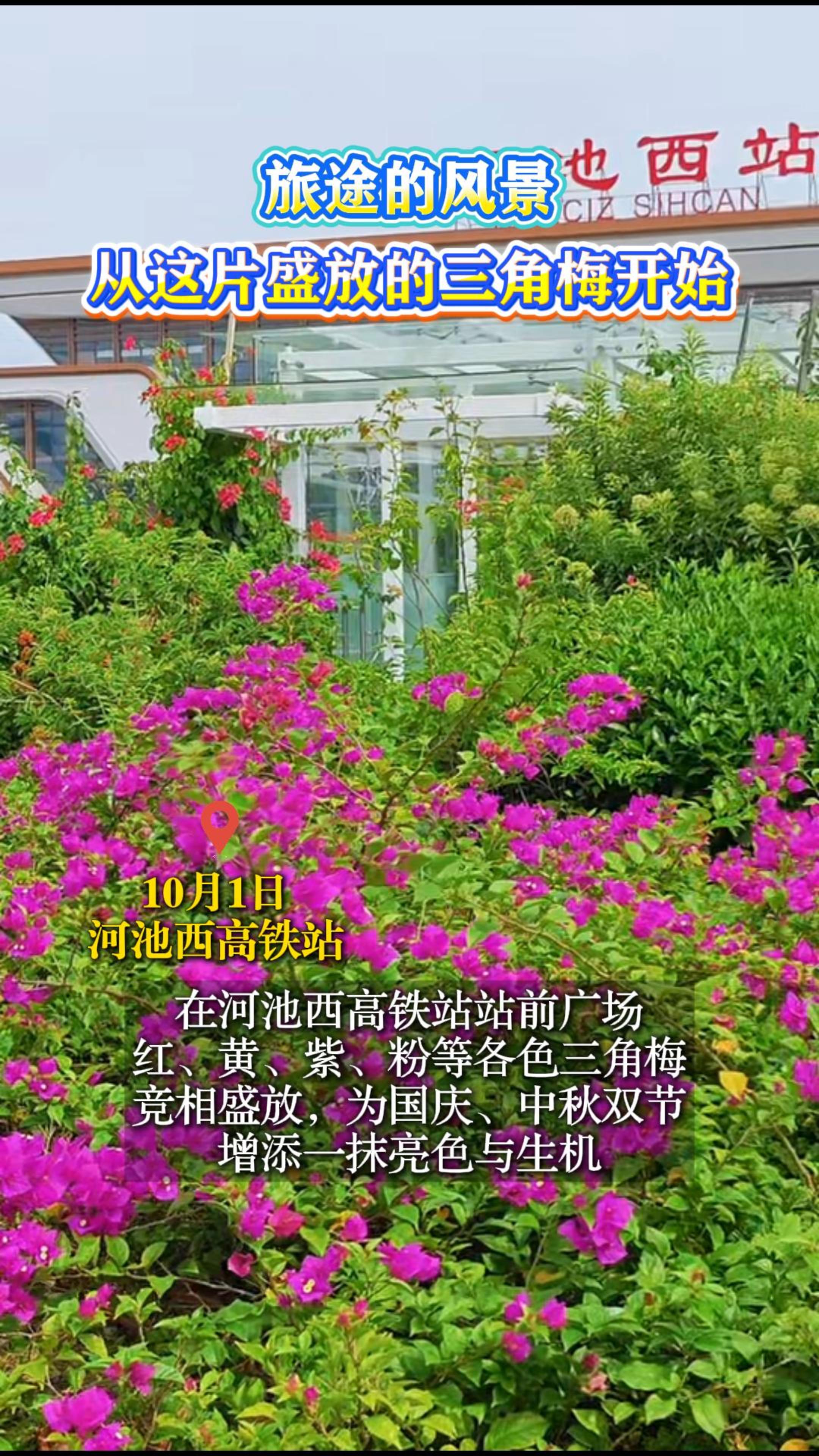 ��;�ķ羰������Ƭʢ�ŵ�����÷��ʼ
