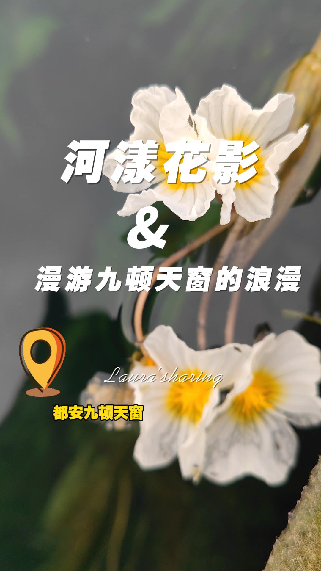 ������Ӱ�����ξŶ��촰������