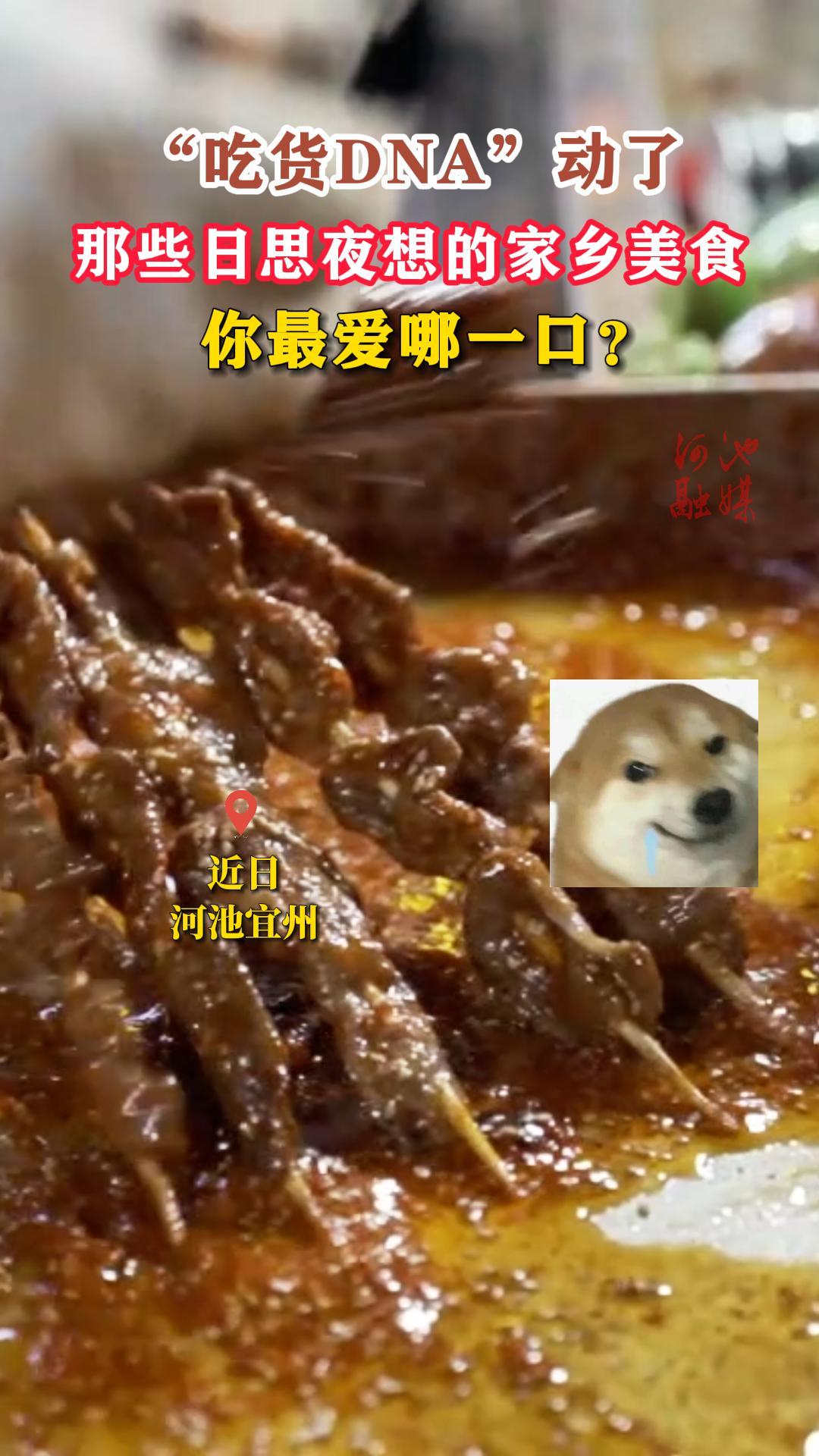 ���Ի�DNA�����ˣ���Щ��˼ҹ��ļ�����ʳ�������һ�ڣ�