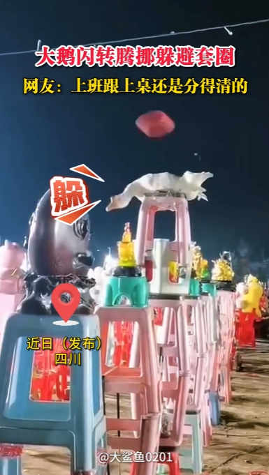 �����ת��Ų�����Ȧ�����ѣ��ϰ���������Ƿֵ����