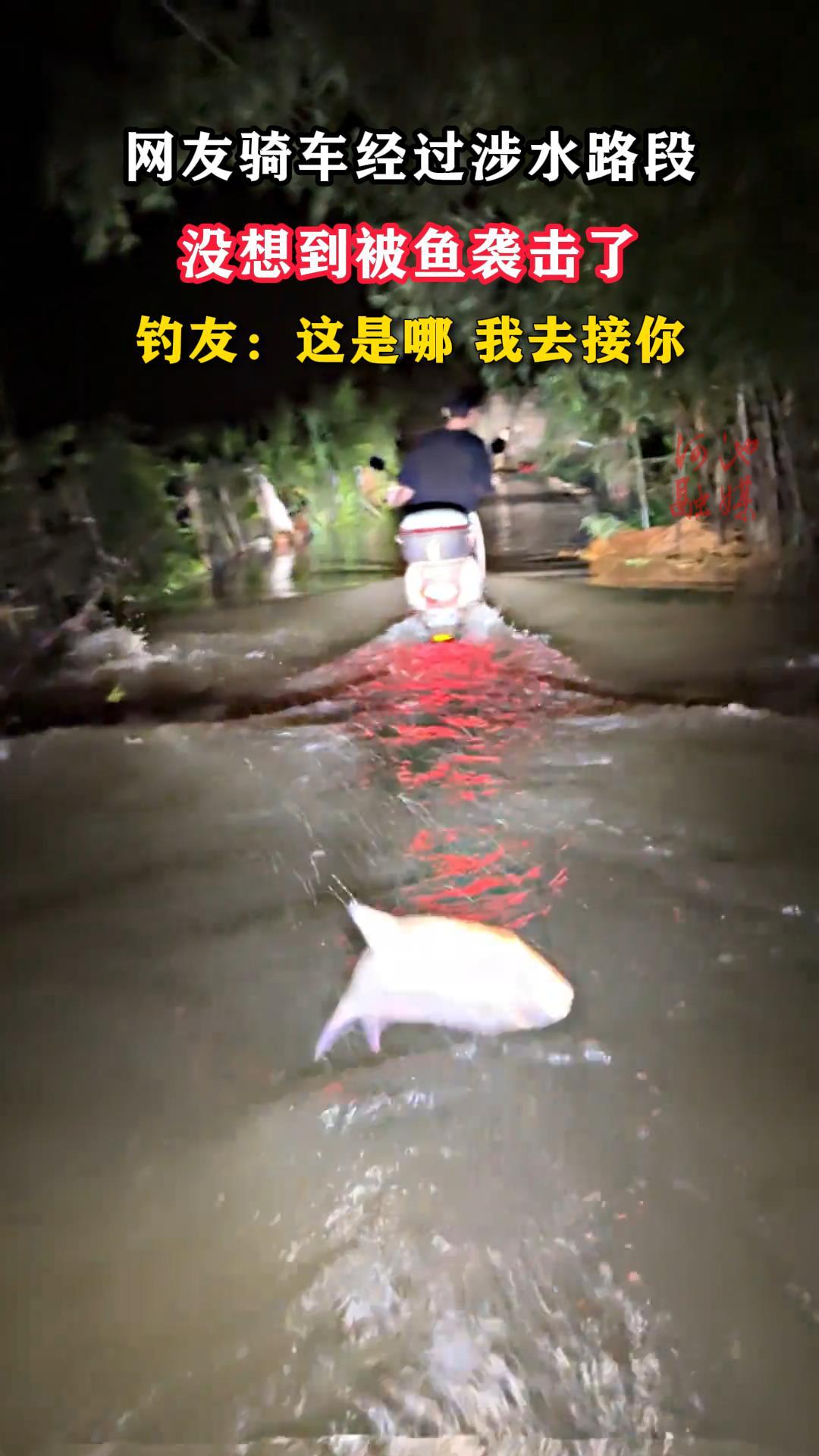 �����ﳵ������ˮ·�Σ�û�뵽����Ϯ���ˡ�
