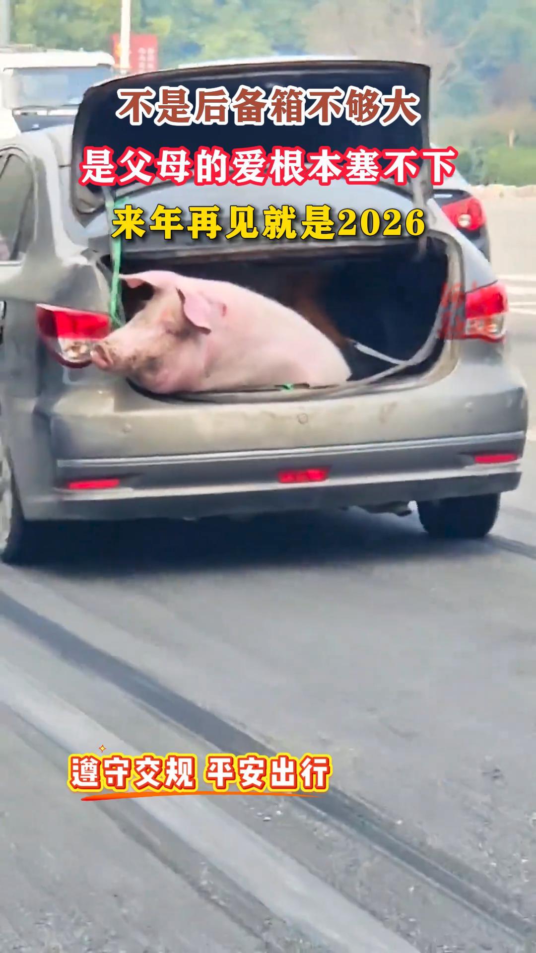 ���Ǻ��䲻�����Ǹ�ĸ�İ����������¡�