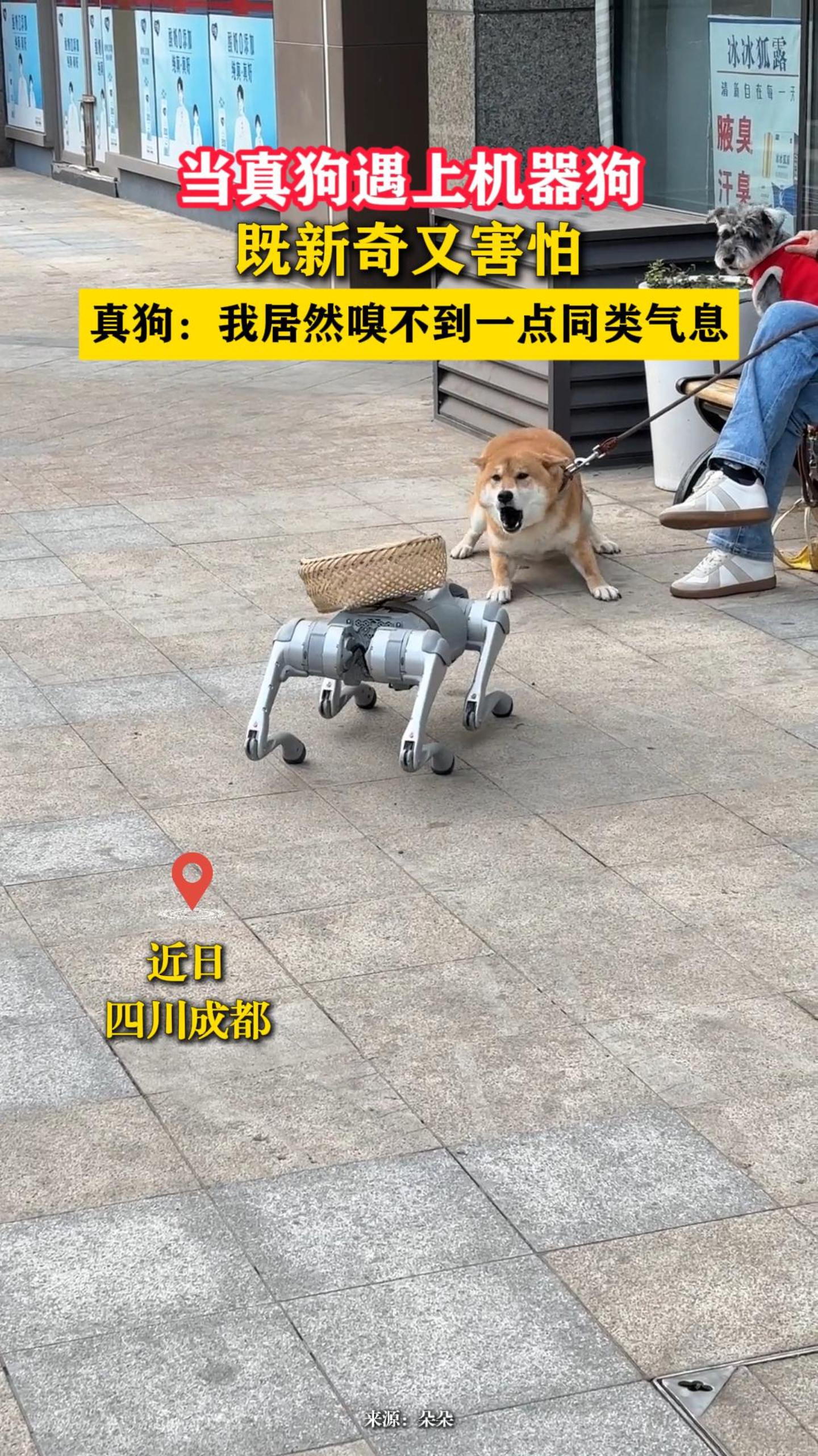 ���湷���ϻ��������������ֺ��¡��湷���Ҿ�Ȼ�᲻��һ��ͬ����Ϣ
