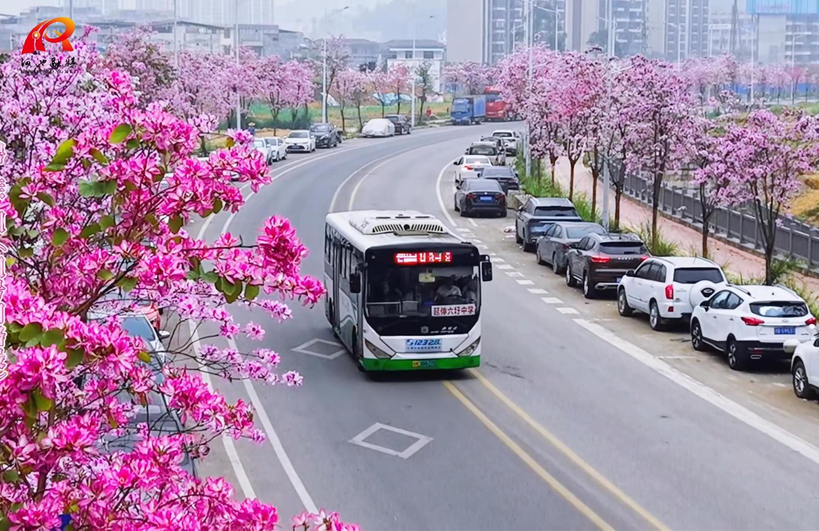 ���ݵ�����̫Զ������ǽ������Ͼ�������������������