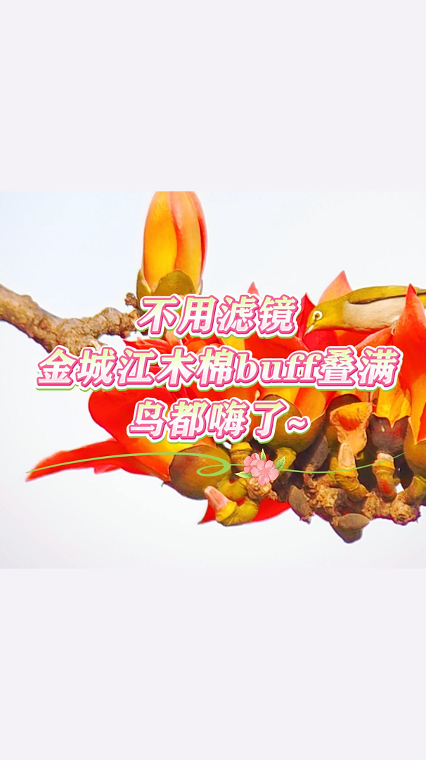 �����˾�����ǽ�ľ��buff������������~