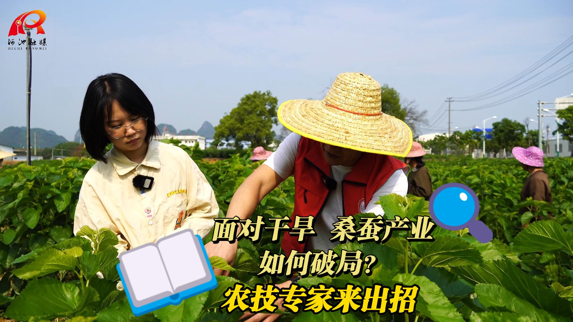 ��Ըɺ�ɣ�ϲ�ҵ����ƾ֣�ũ��ר�������С�