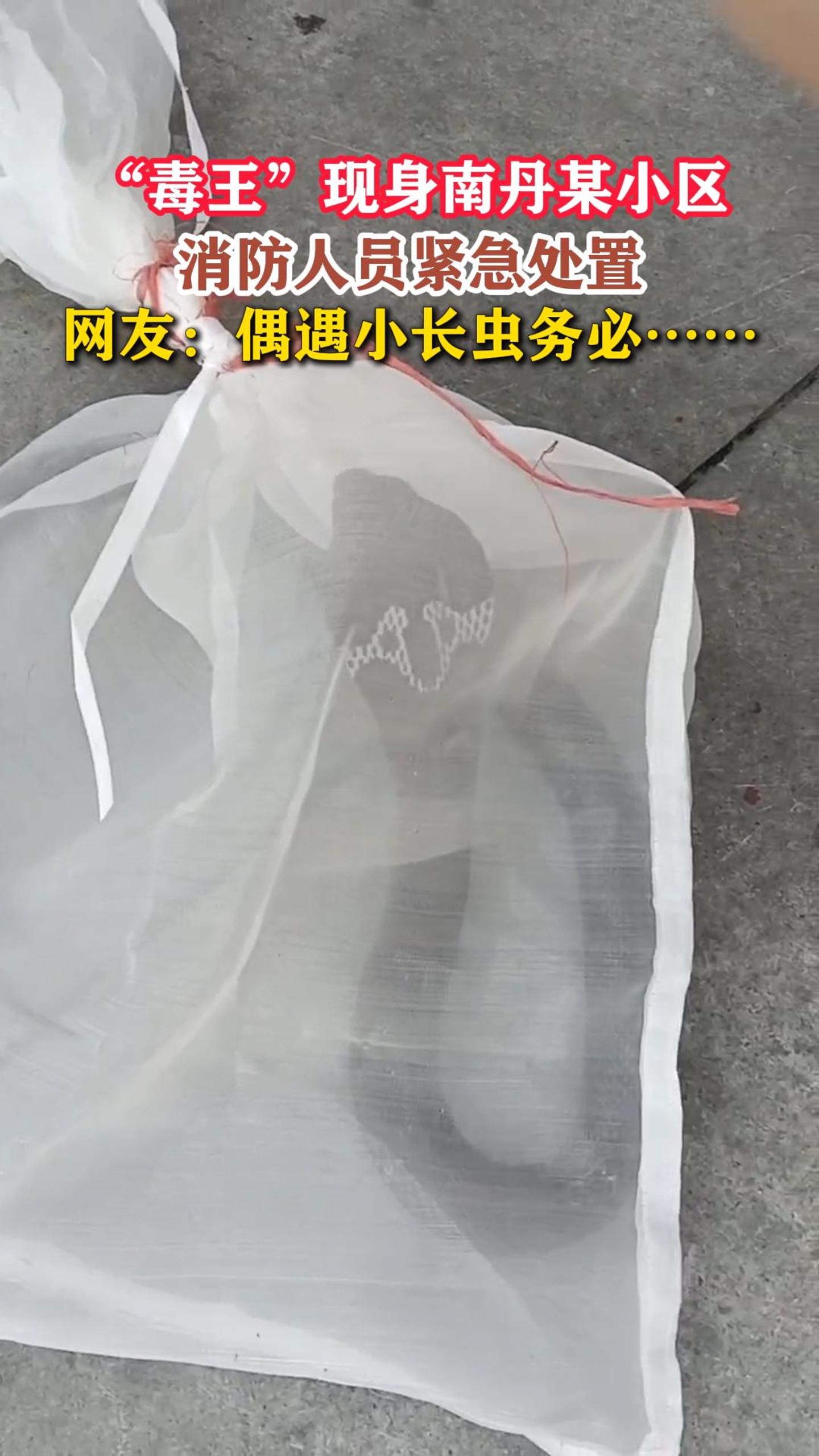 �������������ϵ�ĳС����������Ա�������ã����ѣ�ż��С������ء���