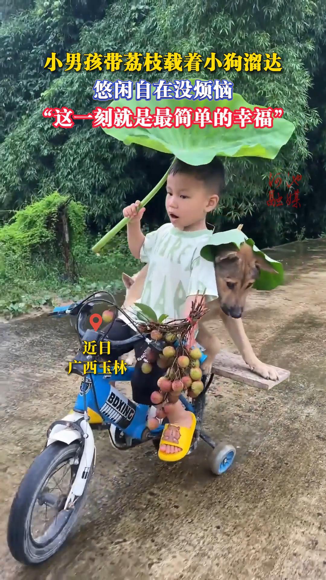 С�к�����֦����С������������û���ա�
