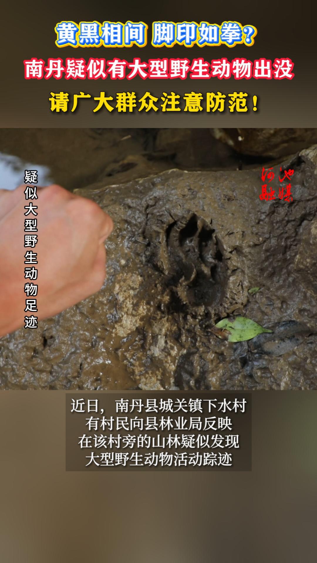 �ƺ���䣬��ӡ��ȭ���ϵ������д���Ұ�������û������Ⱥ��ע�������
