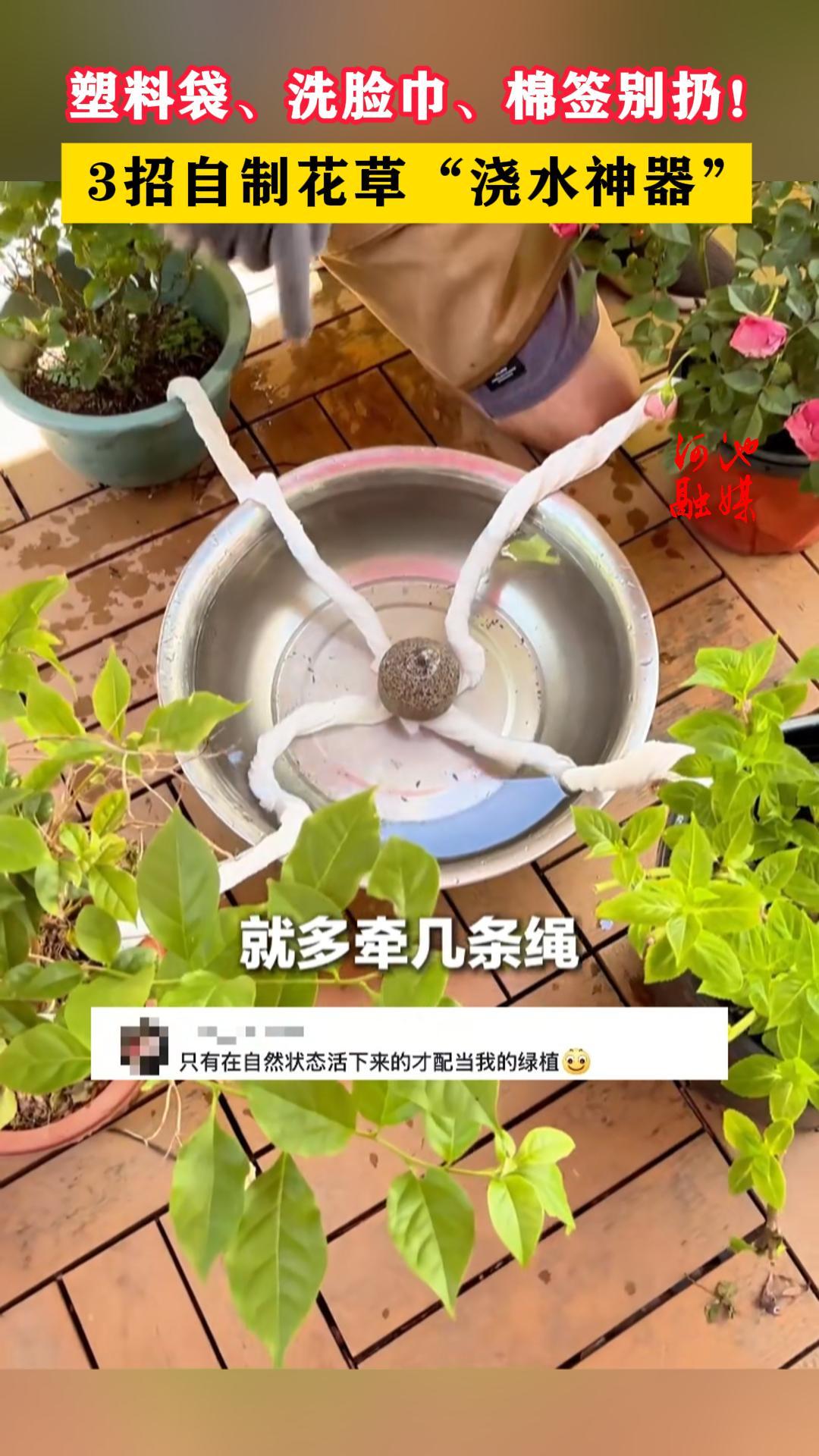 ���ϴ���ϴ��������ǩ���ӣ�3�����ƻ��ݡ���ˮ������