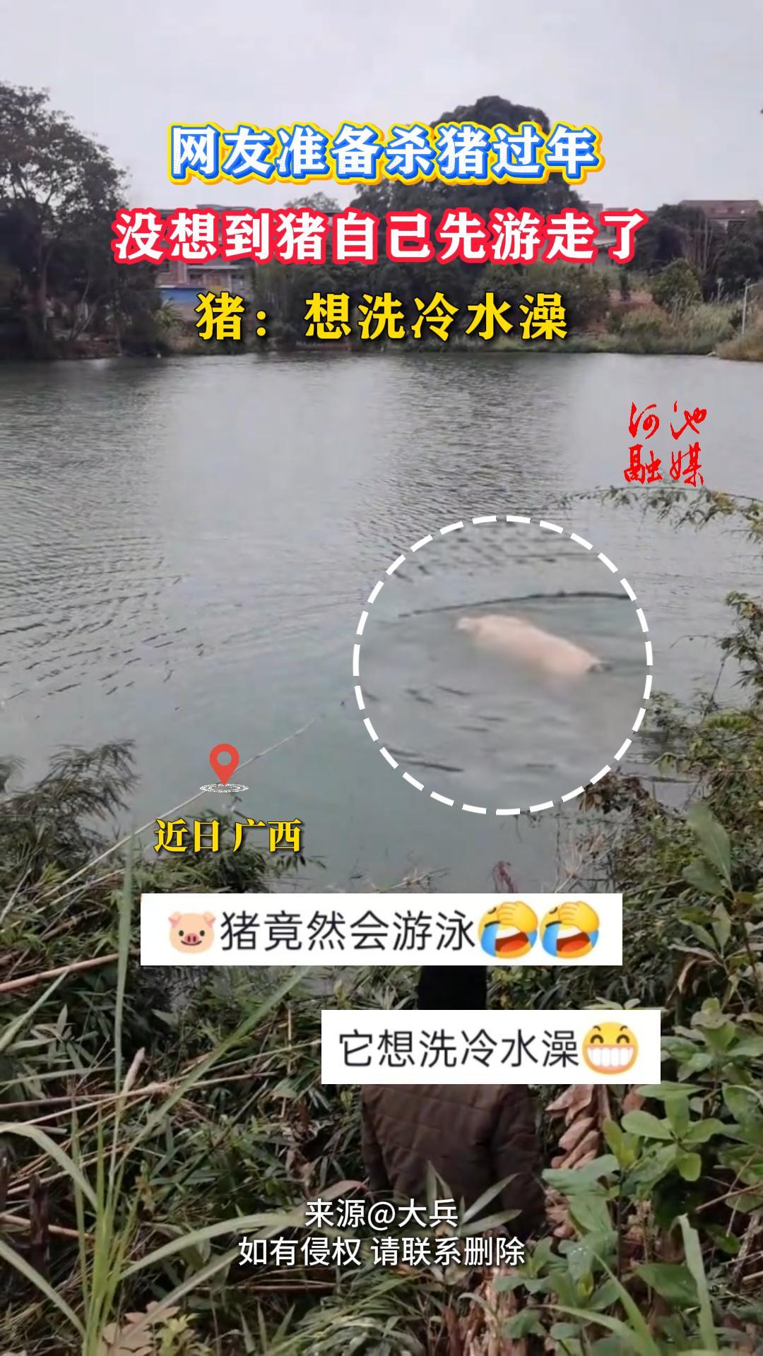����׼��ɱ�����꣬û�뵽���Լ��������ˡ�������ϴ��ˮ��