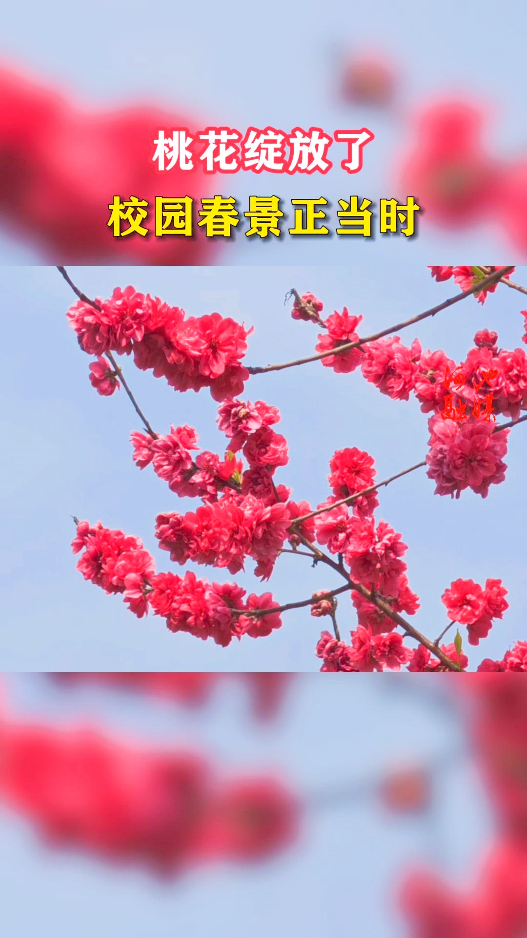 �һ������ˣ�У԰��������ʱ��