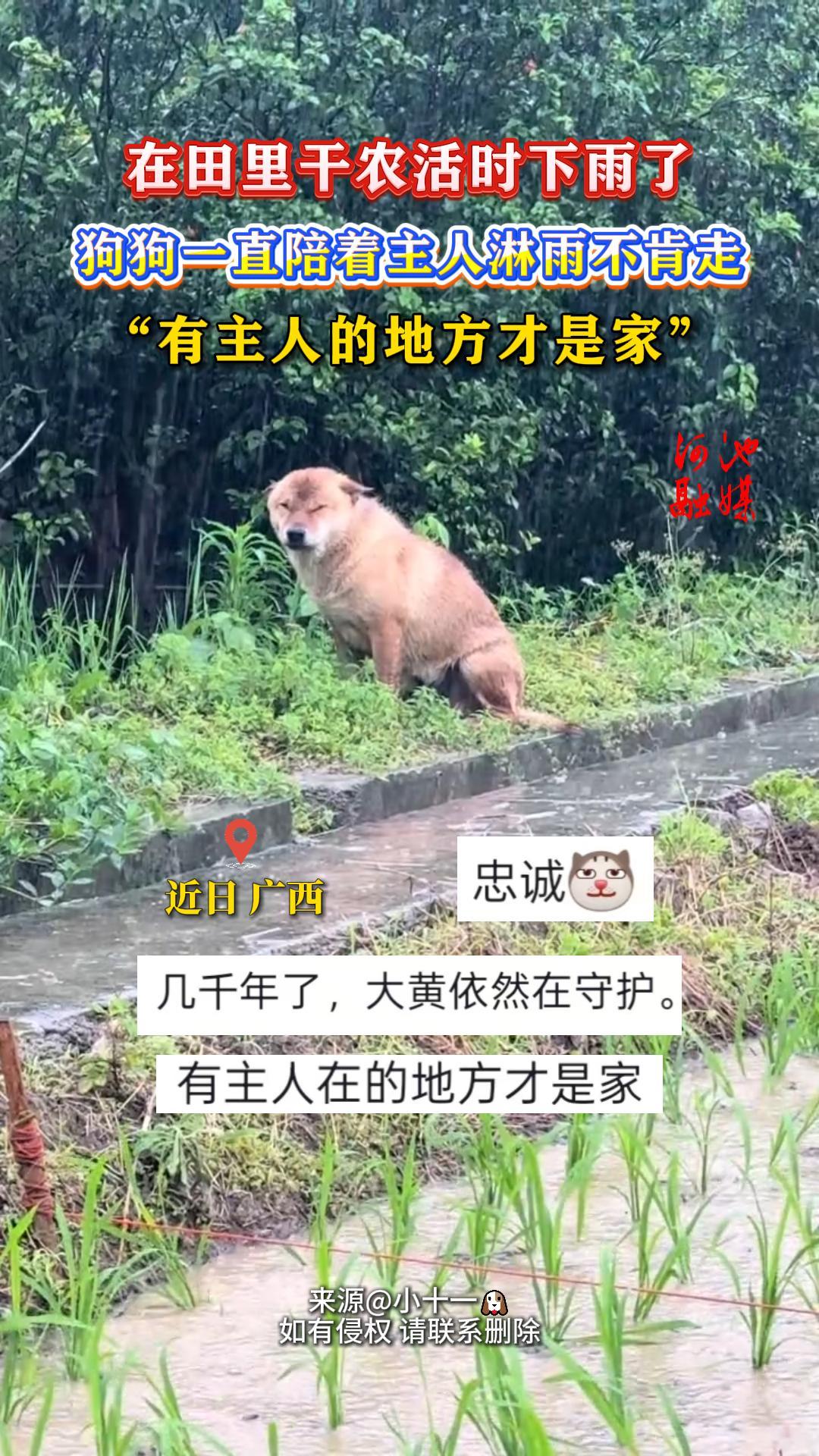 �������ũ��ʱ�����ˣ�����һֱ�����������겻���ߣ��������˵ĵط����Ǽҡ���