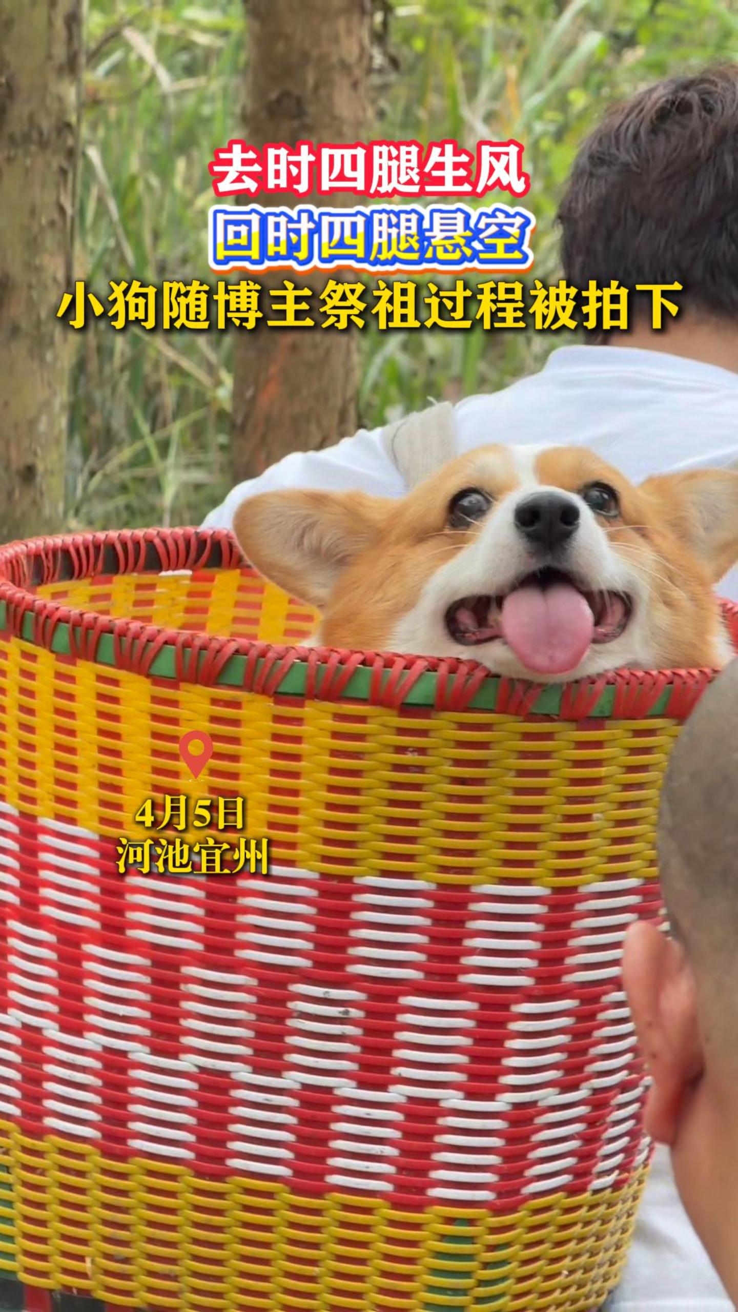ȥʱ�������磬��ʱ�������գ�С���沩��������̱�����